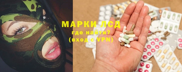 скорость Новозыбков