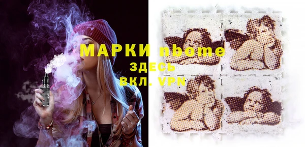 шишки Алексин