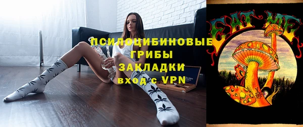 шишки Алексин