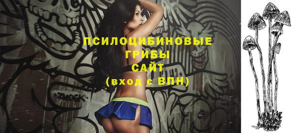 шишки Алексин